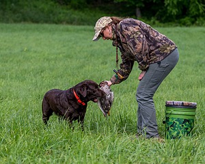 20170603-SHRL-1023.jpg