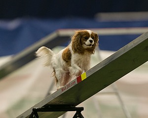 20150321-LEAP-1638.jpg