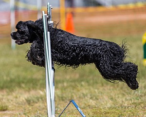 20180617-1366.jpg
