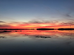 20180708-1005.jpg