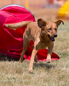 20150613-CCKC-0111.jpg