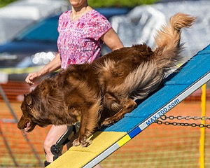 20180617-0231.jpg