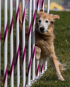 20230916-PVKC-1190.jpg