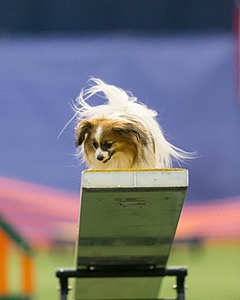 20150321-LEAP-1761.jpg