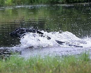 20130713-MHB2-0189.jpg