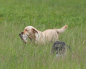 20080531-HRL-0400.jpg