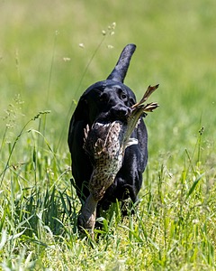 20210606-SEAL-1611.jpg