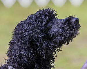 20190817-C-0026.jpg