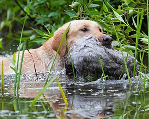 20130713-MHB2-0320.jpg