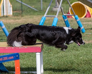 20200819-0726.jpg