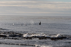 20191218-0505.jpg