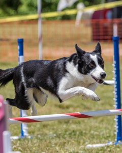 20180616-0892.jpg
