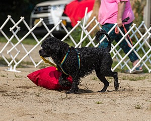20210912-WWD-0708.jpg
