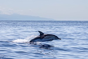 20250622-3289.jpg