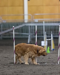 Pup-Pup Beaulieu