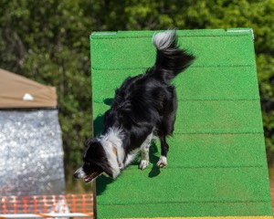 20160619-CCKC-0239.jpg