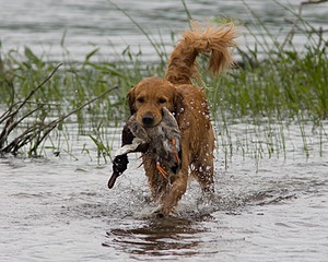 20080531-HRW-0295.jpg