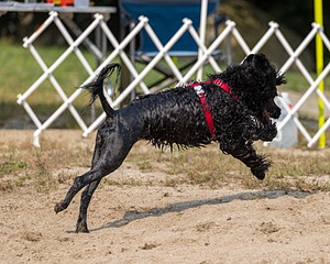 20210912-WWD-0311.jpg