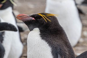 20191214-0110.jpg