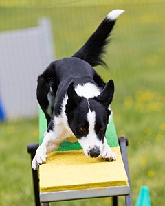 20160515-NEAT-0679.jpg