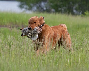 20080531-HRL-0102.jpg