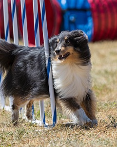 20160618-CCKC-1715.jpg