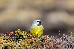 20191218-0961.jpg