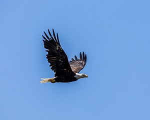 20240825-C-0003.jpg