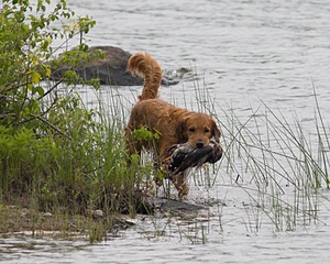 20080531-HRW-0338.jpg