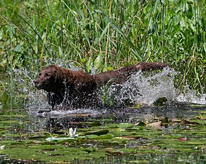 20130810-JHW-0027.jpg