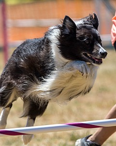 20160618-CCKC-1779.jpg