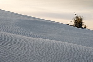 20151207-0073.jpg