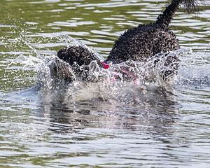 Tango Abbruzzese