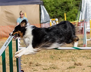20160619-CCKC-0230.jpg