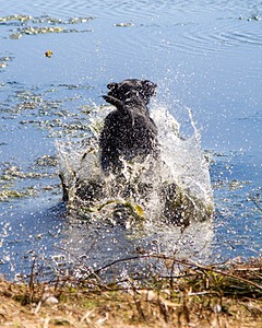 20061014-JHW-125.jpg