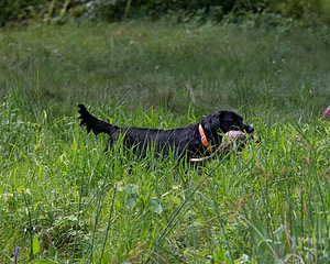 20130810-JHW-0313.jpg