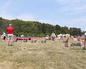 20150612-CCKCMC-0061.jpg