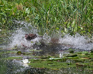 20130810-JHW-0029.jpg