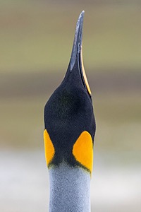 20191210-0244.jpg
