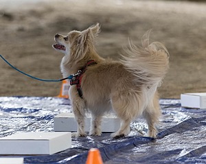 20260718-NSKC-0232.jpg