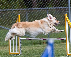 20200819-1886.jpg