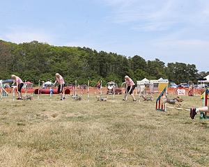 20150612-CCKCMC-0057.jpg