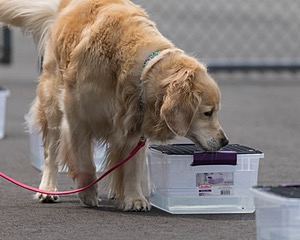 20260718-NSKC-0309.jpg