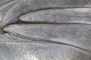 20191218-2287.jpg