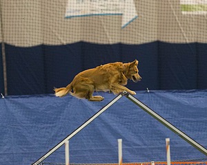 20150321-LEAP-0656.jpg