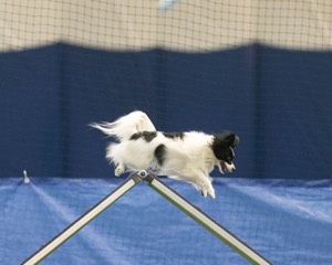 20150321-LEAP-1652.jpg