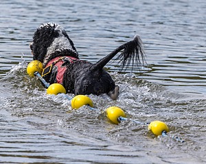 Seasea Proulx