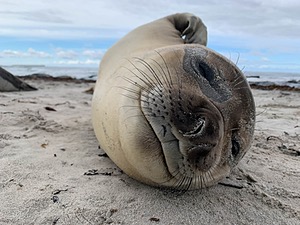 20191217-0653.jpg