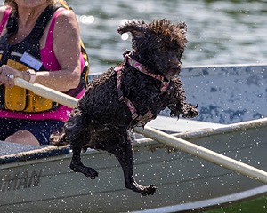 Tootsie Totten