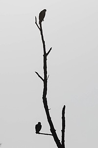 20240621-3418.jpg
